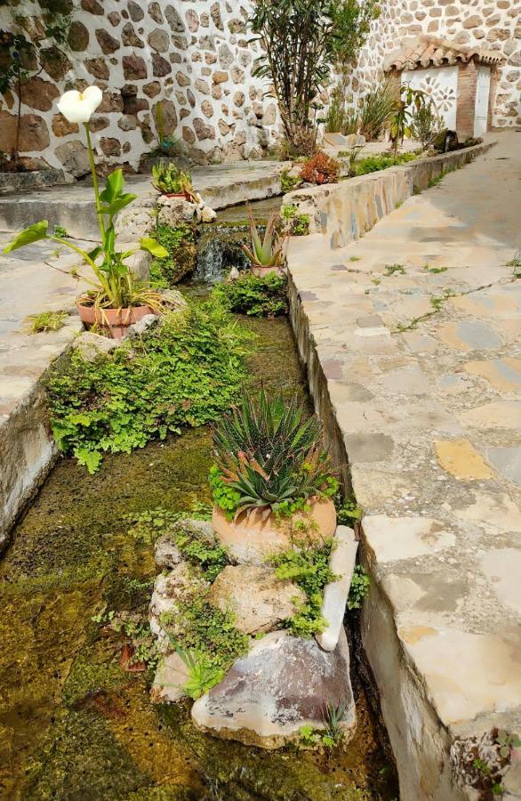 El Patio del Limón Montecorto Exterior foto
